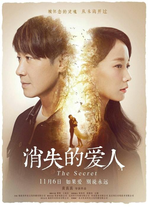 国立美利坚大学本科offer